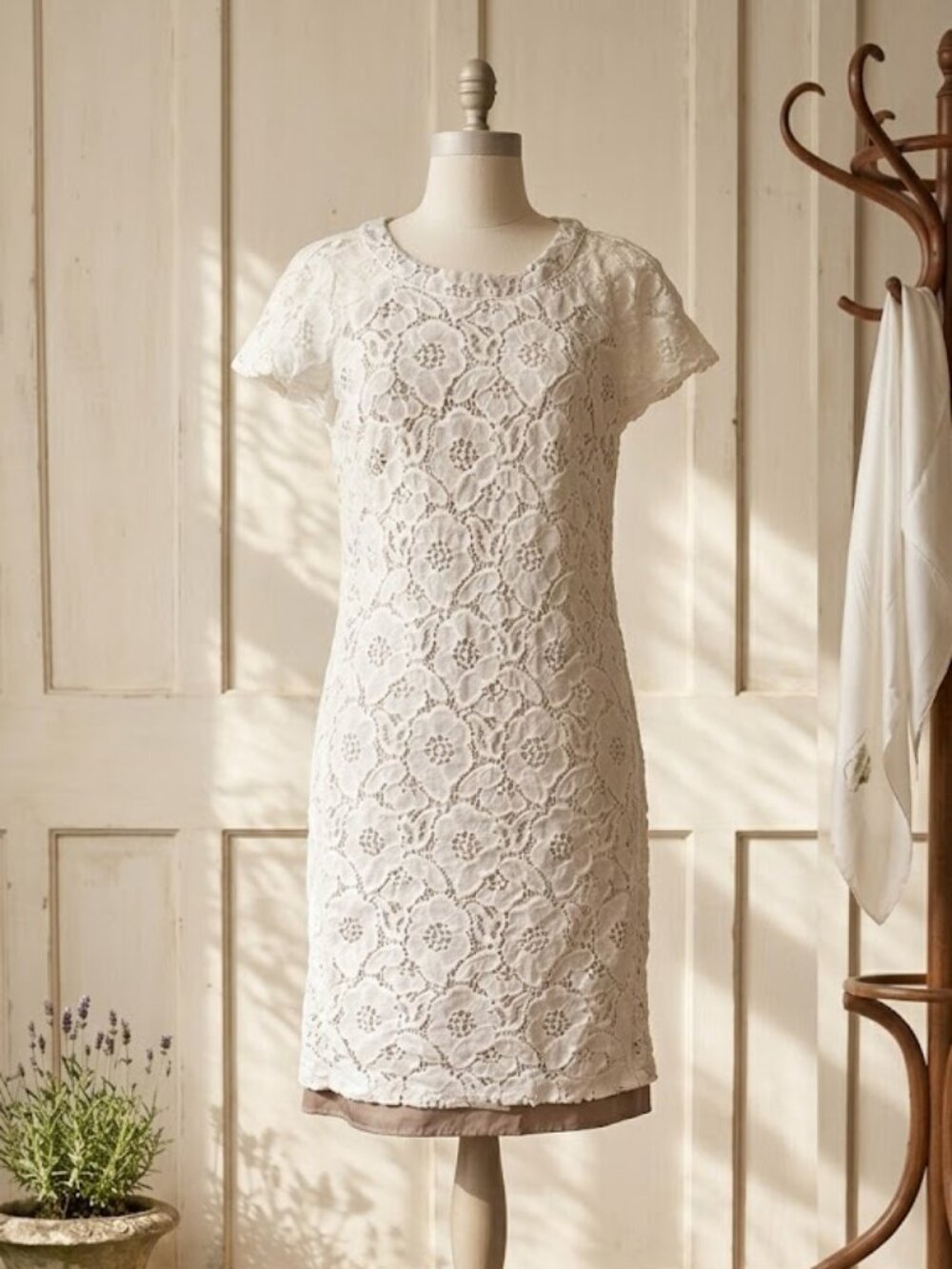 Loft Ann Taylor Size 6 Lace Lined Cream Dress Bridal Wedding Rehearsal Romantic